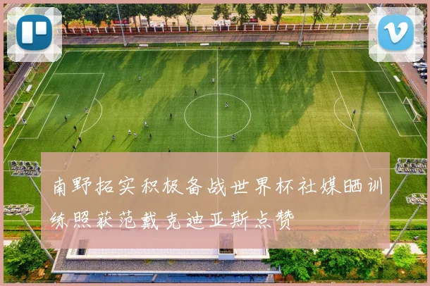 南野拓实积极备战世界杯社媒晒训练照获范戴克迪亚斯点赞