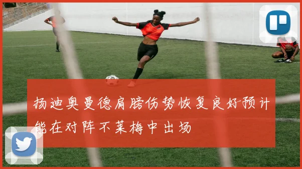 扬迪奥曼德肩膀伤势恢复良好预计能在对阵不莱梅中出场