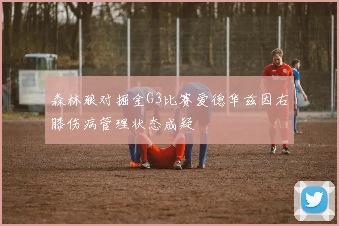 森林狼对掘金G3比赛爱德华兹因右膝伤病管理状态成疑